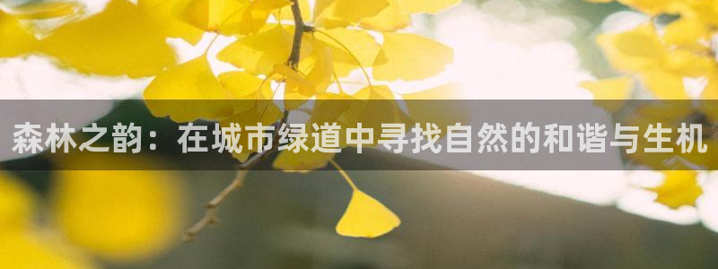 天顺娱乐正规吗1720 com