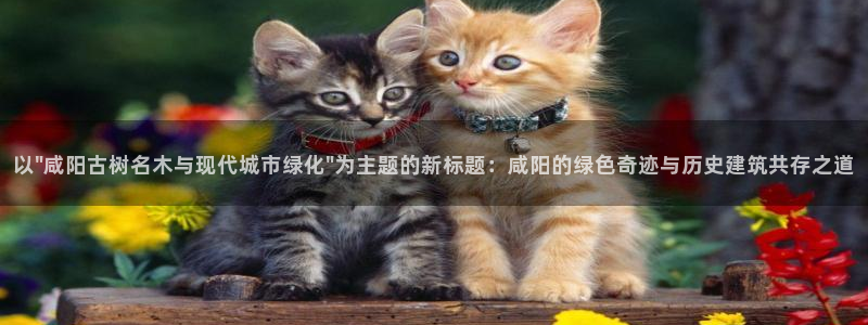 天顺娱乐跟团队