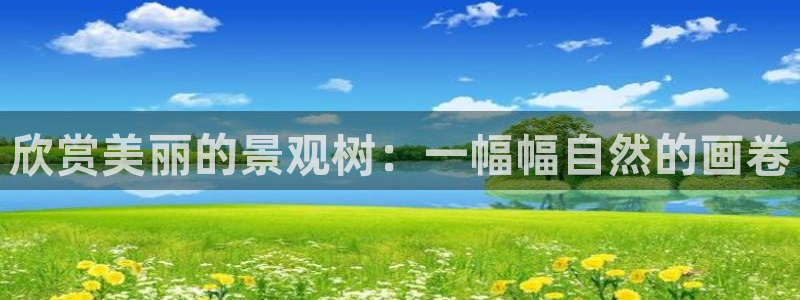 天顺娱乐瞬靥70648