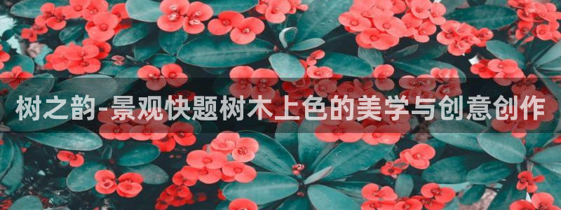 天顺娱乐负责人十岂pg29999