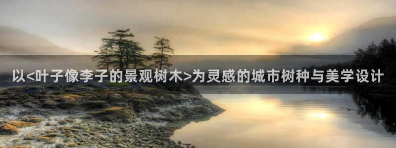 上海汇天顺娱乐公司