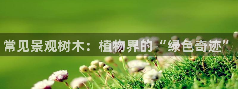 天顺娱乐就32OO59