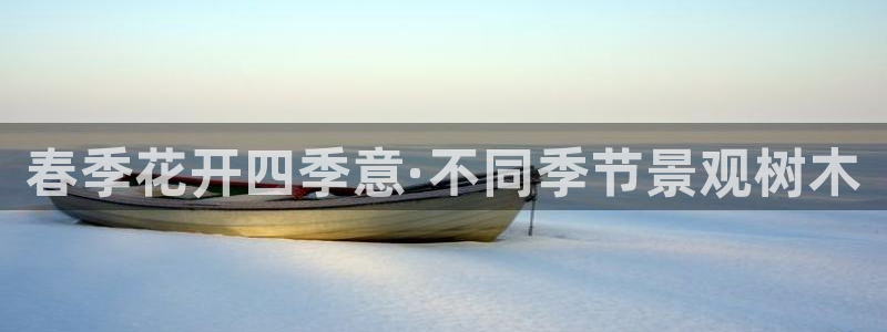 天顺娱乐氏70648