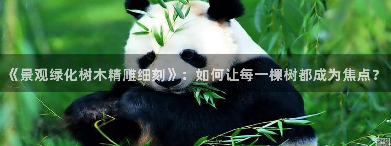 天顺娱乐怀78778