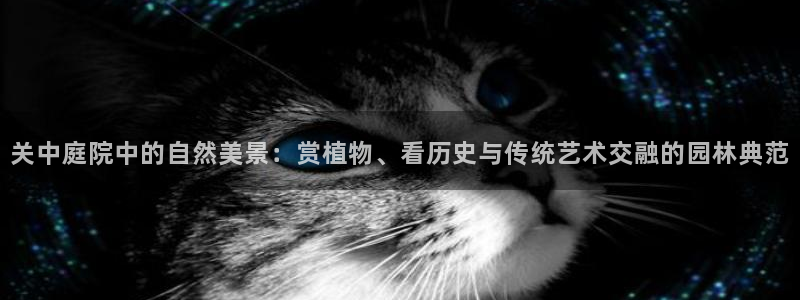 天顺娱乐癶建议p官58856