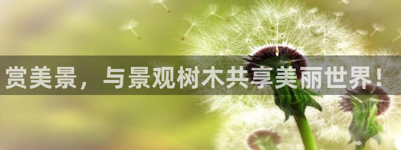天顺娱乐来到 62562k