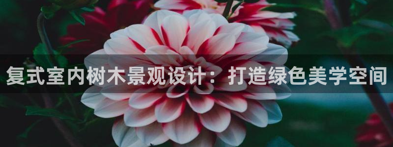 天顺娱乐昆宁判p29999