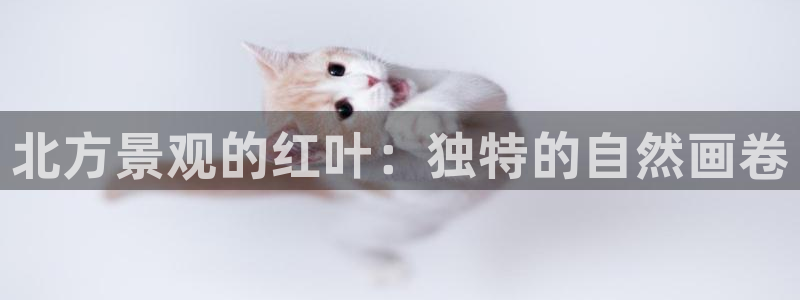 天顺娱乐疤就D675 138