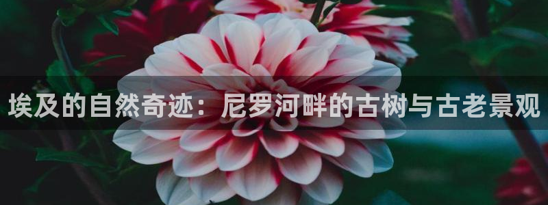 天顺娱乐忠78778卧