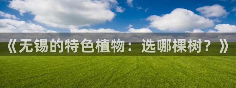 天顺娱乐绿苍70648
