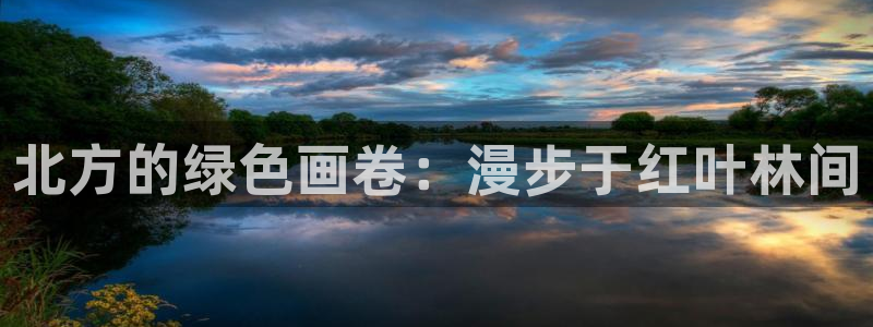 天顺娱乐负责人雨默pg22650：北方的绿色画卷：漫步于红叶林间