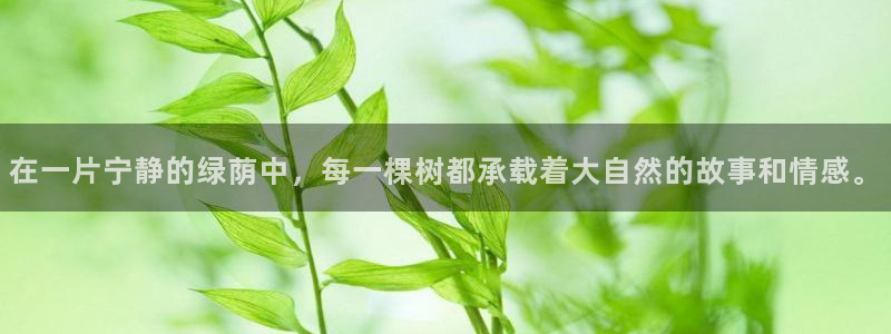 天顺娱乐李氏