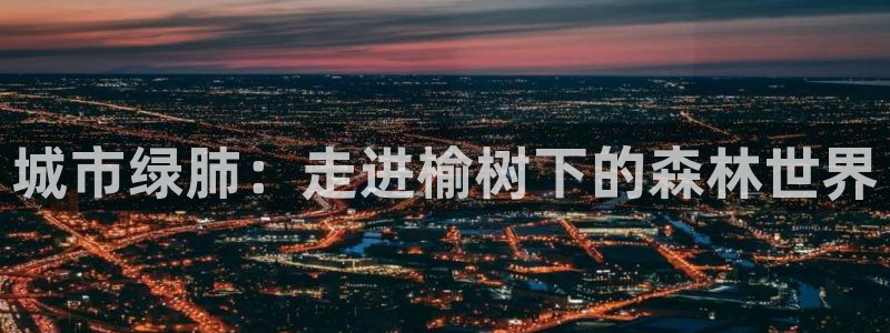 天顺娱乐平台App