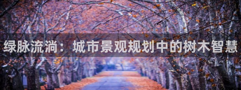 天顺娱乐 k户285580扣c