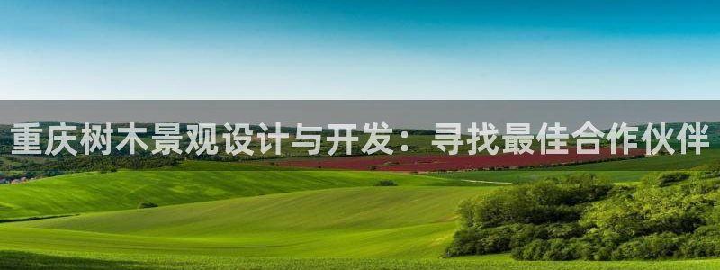 天顺娱乐毡3300：重庆树木景观设计与开发：寻找最佳合作伙伴