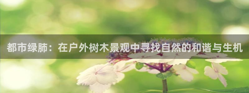 天顺娱乐奈943994