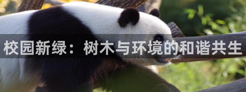 天顺娱乐：校园新绿：树木与环境的和谐共生