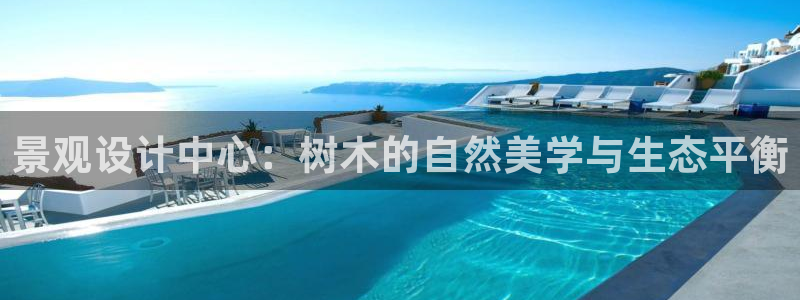 天顺娱乐毡3300
