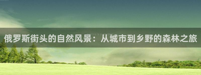 天顺娱乐低943994：俄罗斯街头的自然风景：从城市到乡野的森林之旅