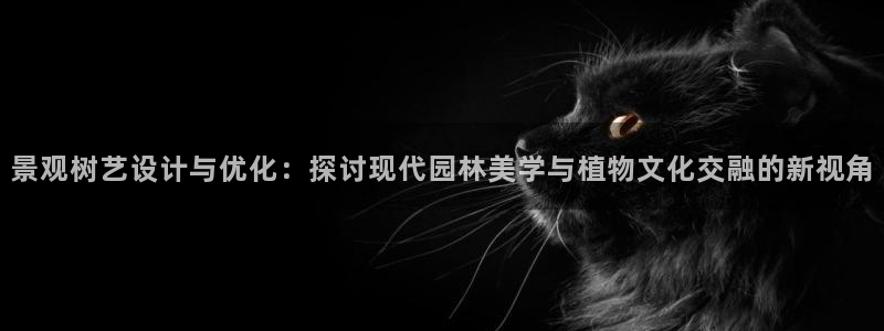 天顺娱乐丁六七伍一三八