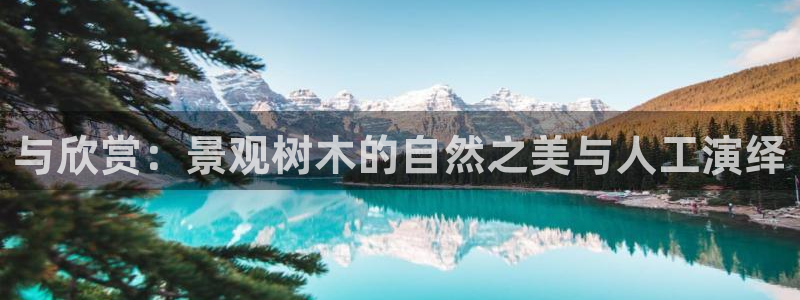 天顺娱乐纲3300：与欣赏：景观树木的自然之美与人工演绎