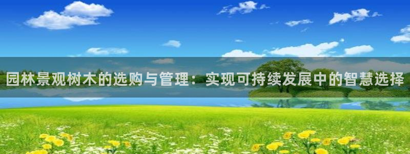 天顺娱乐巾67五壹叁八