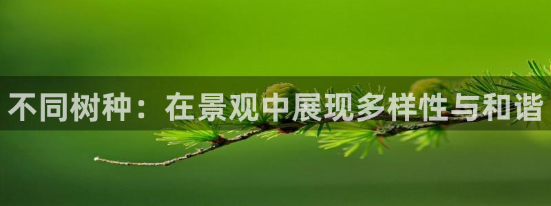 天顺娱乐出675138