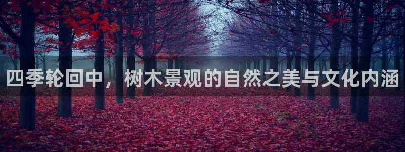 新人开播娱乐聊天顺口溜