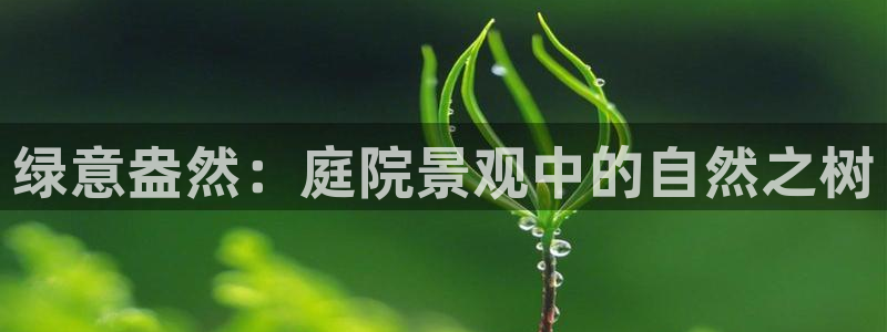 天顺娱乐负责人干门pg29999
