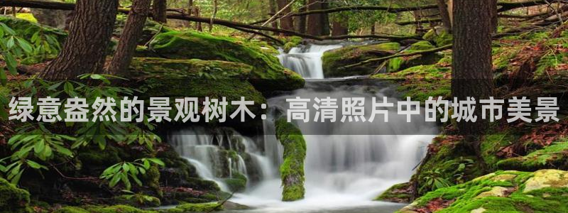 天顺娱乐千67五壹叁八