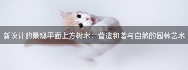 天顺娱乐负责人十七pg29999