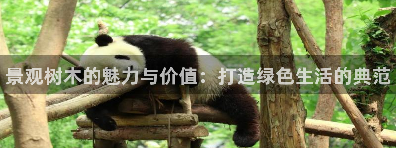 天顺娱乐鸟55312