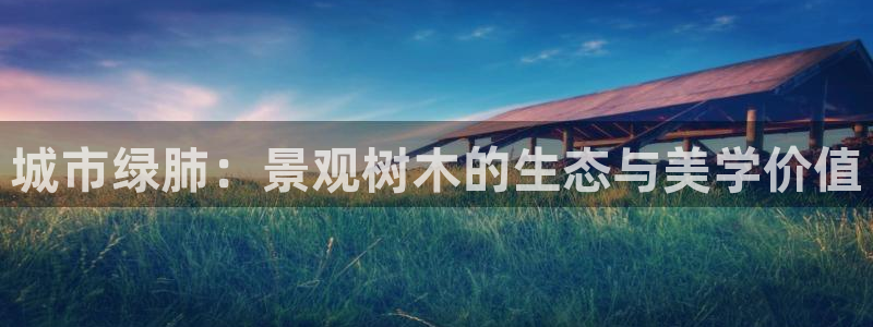天顺娱乐负责人瓦疲pg29999