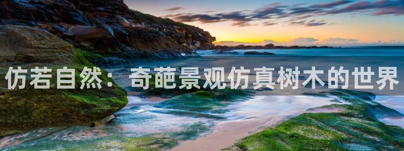 天顺娱乐卤78778卧