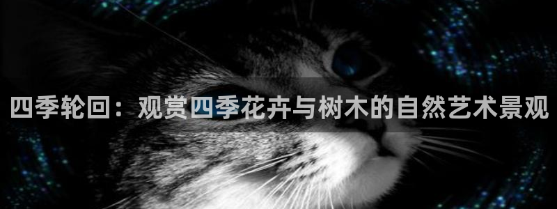 天顺娱乐可32OO59