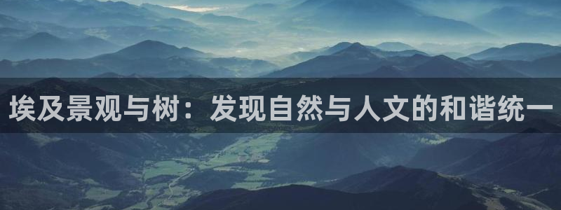 天顺娱乐挂机