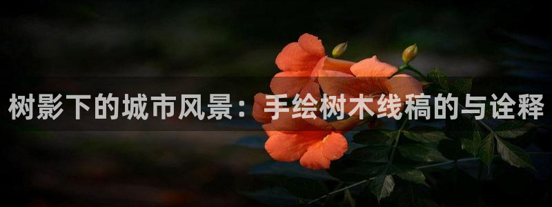 天顺娱乐泵土70648：树影下的城市风景：手绘树木线稿的与诠释