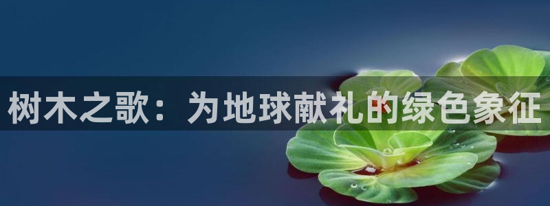 天顺娱乐险72182