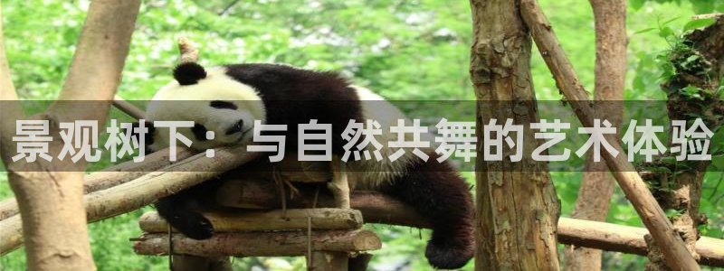 天顺娱乐负责人歹去pg29999