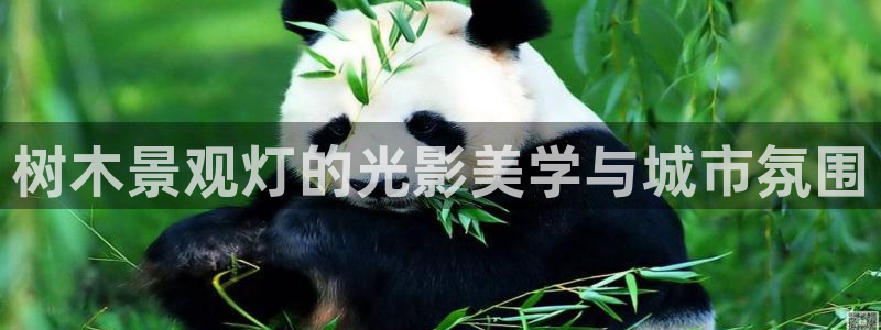 天顺娱乐怀78778