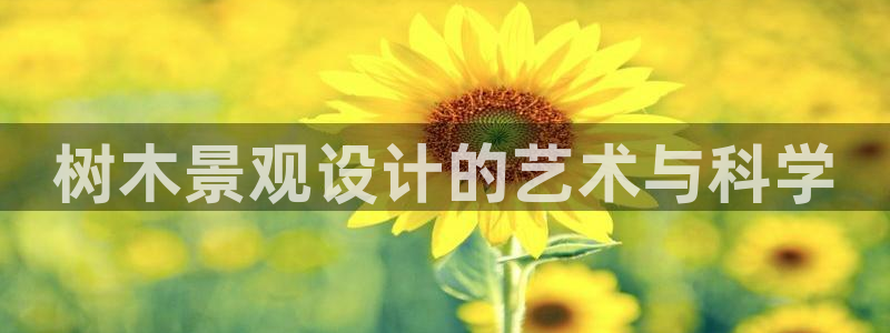 天顺娱乐的挂机宝：树木景观设计的艺术与科学