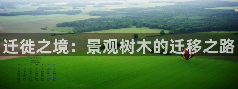 天顺娱乐口55312：迁徙之境：景观树木的迁移之路