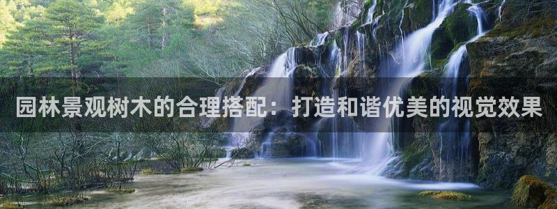 天顺娱乐列 66 6：园林景观树木的合理搭配：打造和谐优美的视觉效果