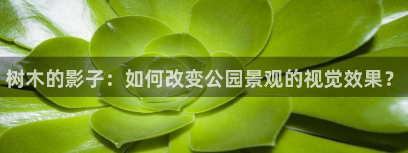 天顺娱乐施7O667