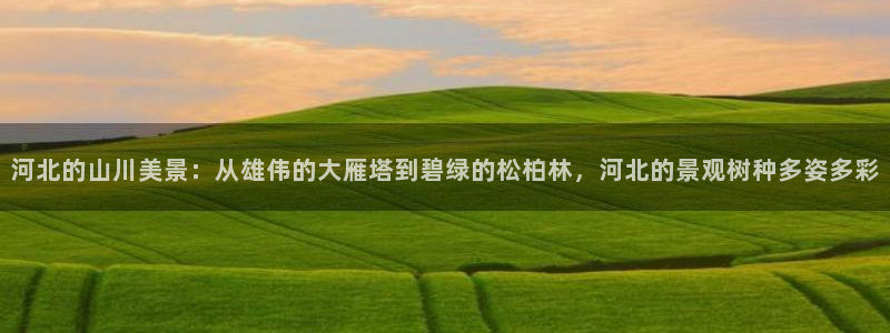 天顺娱乐 q96303：河北的山川美景：从雄伟的大雁塔到碧绿的松柏林，河北的景观树种多姿多彩