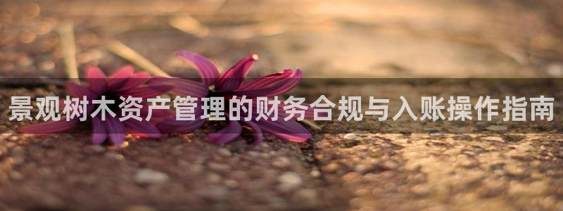 天顺娱乐皿公道p官58856