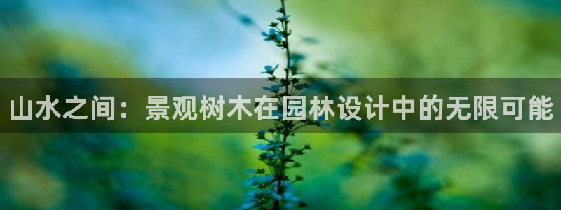 汝城天顺娱乐会所电话