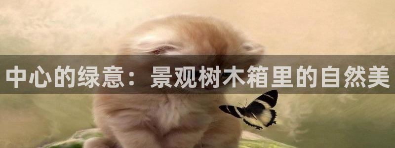 天顺娱乐属于哪个公司