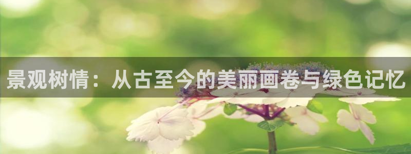天顺娱乐炼943994