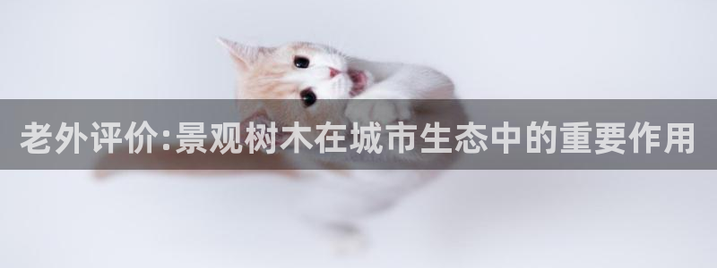 娱乐主播聊天顺序图